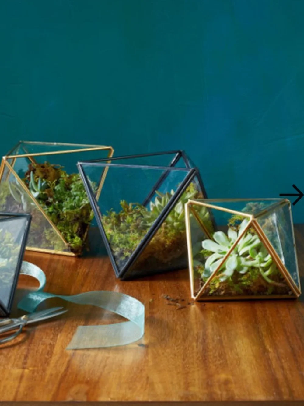 West Elm these geometric